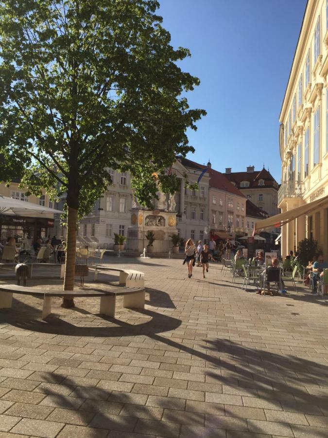 Terrasse Wohnungen Mit Parking In Zentrum Baden Exterior photo