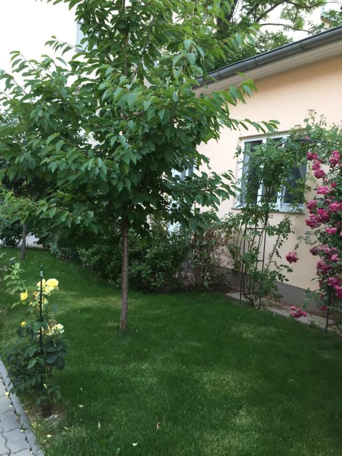 Terrasse Wohnungen Mit Parking In Zentrum Baden Exterior photo