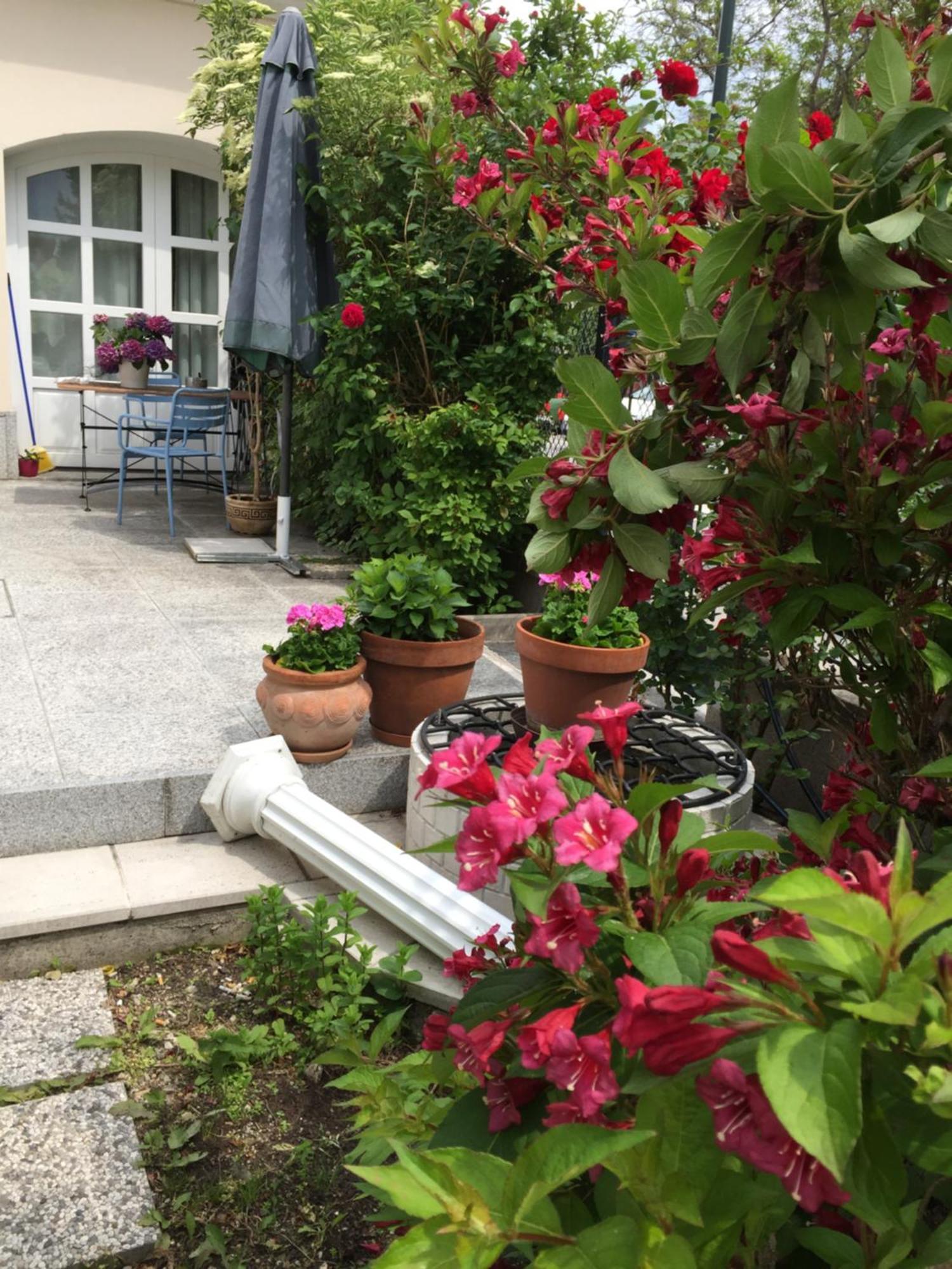 Terrasse Wohnungen Mit Parking In Zentrum Baden Exterior photo